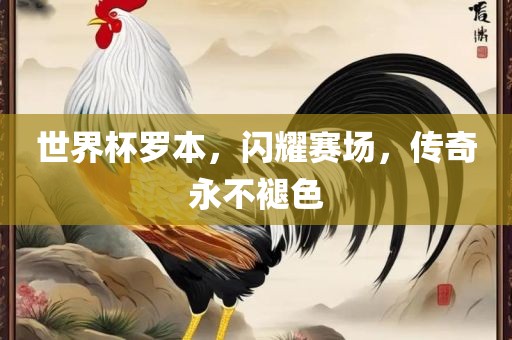 世界杯罗本，闪耀赛场，传奇永不褪色