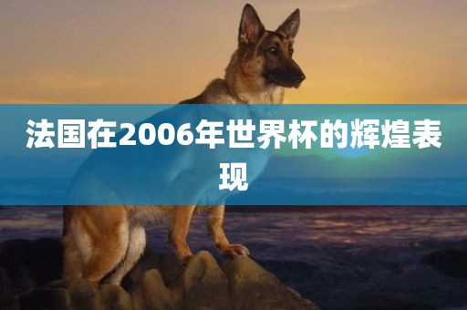 法国在2006年世界杯的辉煌表现