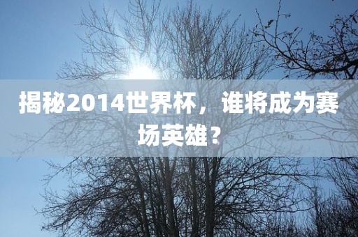 揭秘2014世界杯，谁将成为赛场英雄？