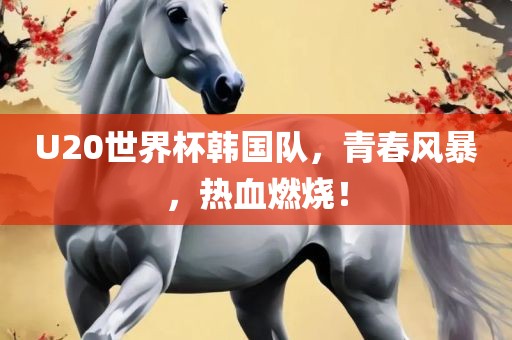 U20世界杯韩国队，青春风暴，热血燃烧！