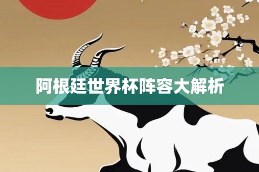 阿根廷世界杯阵容大解析