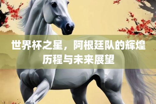 世界杯之星，阿根廷队的辉煌历程与未来展望