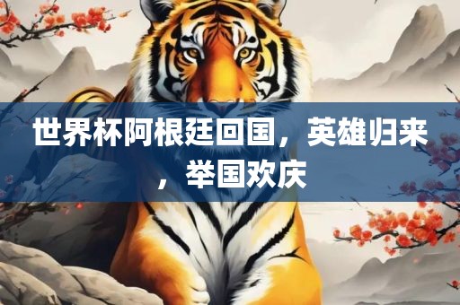 世界杯阿根廷回国，英雄归来，举国欢庆