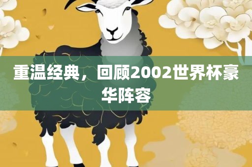 重温经典，回顾2002世界杯豪华阵容