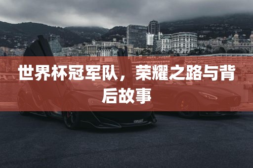 世界杯冠军队，荣耀之路与背后故事