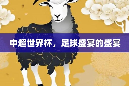 中超世界杯，足球盛宴的盛宴