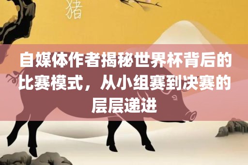 自媒体作者揭秘世界杯背后的比赛模式，从小组赛到决赛的层层递进