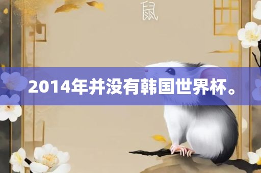 2014年并没有韩国世界杯。