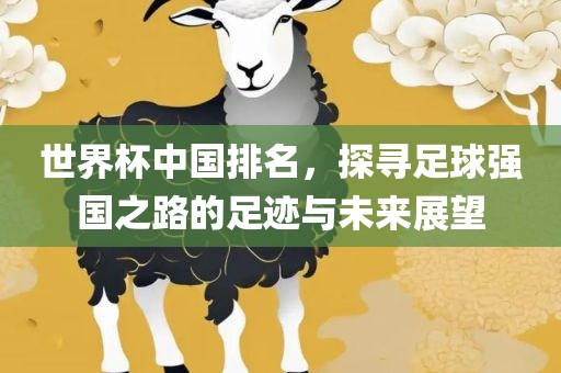 世界杯中国排名，探寻足球强国之路的足迹与未来展望