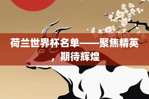 荷兰世界杯名单——聚焦精英，期待辉煌