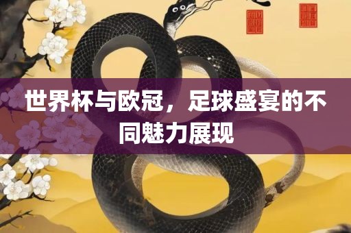 世界杯与欧冠，足球盛宴的不同魅力展现