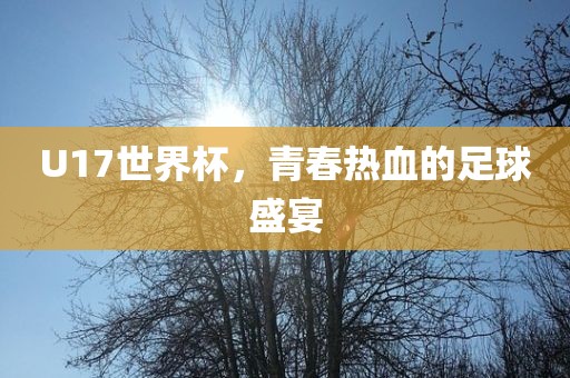 U17世界杯，青春热血的足球盛宴