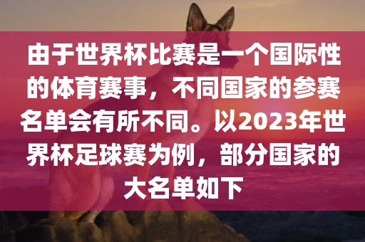 由于世界杯比赛是一个国际性的体育赛事，不同国家的参赛名单会有所不同。以2023年世界杯足球赛为例，部分国家的大名单如下漯河市盈旭机械设备有限公司