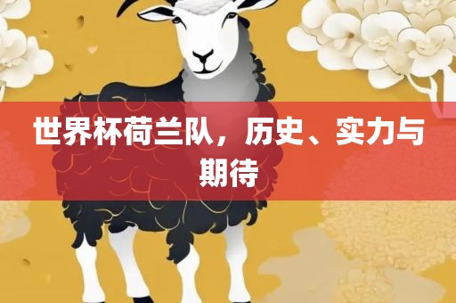 世界杯荷兰队，历史、实力与期待