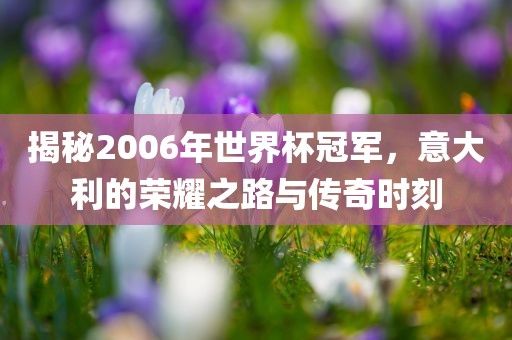 揭秘2006年世界杯冠军，意大利的荣耀之路与传奇时刻