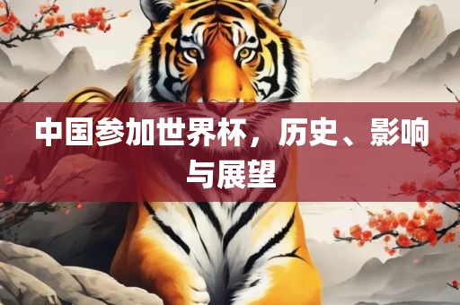 中国参加世界杯，历史、影响与展望