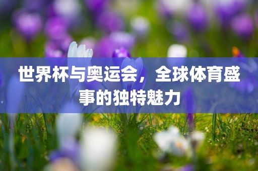 世界杯与奥运会，全球体育盛事的独特魅力漯河市盈旭机械设备有限公司