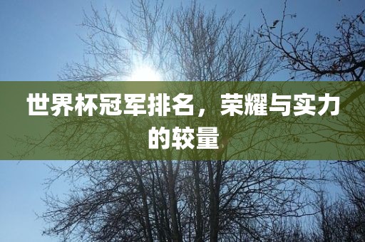 世界杯冠军漯河市盈旭机械设备有限公司排名，荣耀与实力的较量