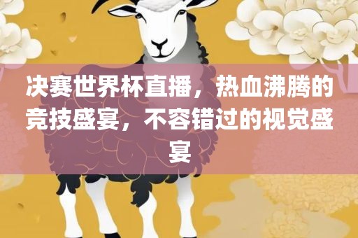 决赛世界杯直播，热血沸腾的竞技盛宴，不容错过的视觉盛宴