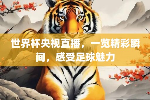 世界杯央视直播，一览精彩瞬间，感受足球魅力