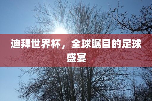 迪拜世界杯，全球瞩目的足球盛宴