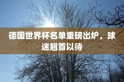 德国世界杯名单重磅出炉，球迷翘首以待