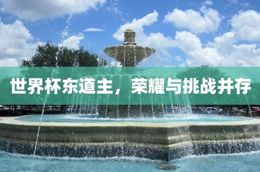 世界杯东道主，荣耀与挑战并存漯河市盈旭机械设备有限公司