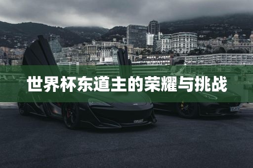 世界杯东道主的荣耀与挑战