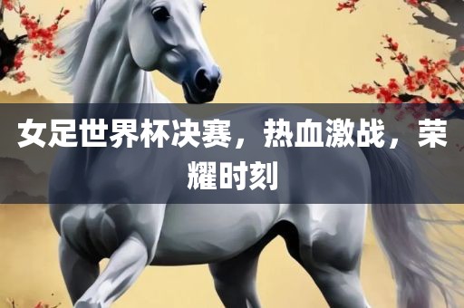 女足世界杯决赛，热血激战，荣耀时刻