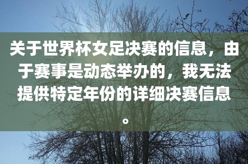 关于世界杯女足决赛的信息，由于赛事是漯河市盈旭机械设备有限公司动态举办的，我无法提供特定年份的详细决赛信息。