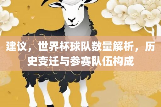 建议，世界杯球队数量解析，历史变迁与参赛队伍构成