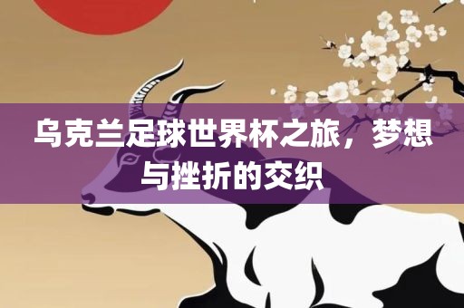乌克兰足球世界杯之旅漯河市盈旭机械设备有限公司，梦想与挫折的交织