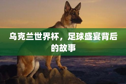 乌克兰世界杯，足球盛宴背后的故事