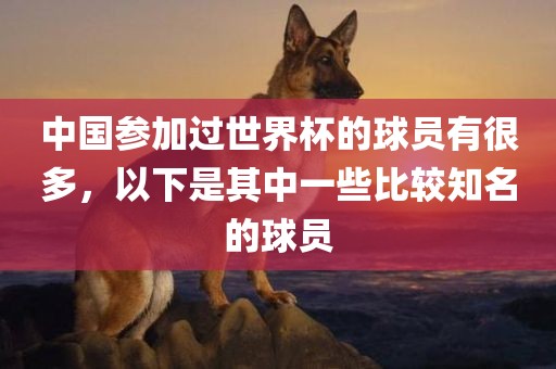 中国参加过世界杯的球员有很多，以下是其中一些比较知名的球员