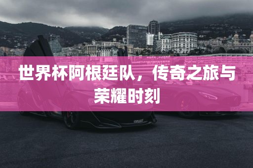 世界杯阿根廷队，传奇之旅与荣耀时刻