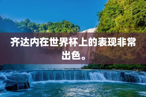 齐达内在世界杯上的表现非常出色。