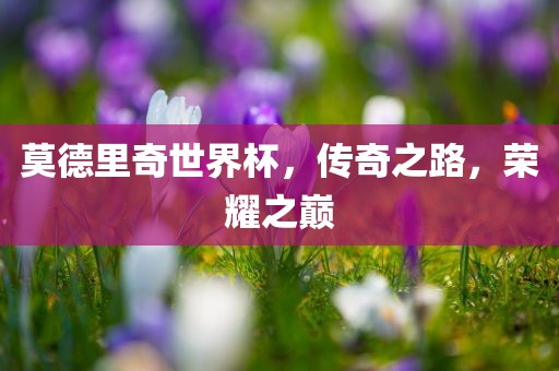 莫德里奇世界杯，传奇之路，荣耀之巅