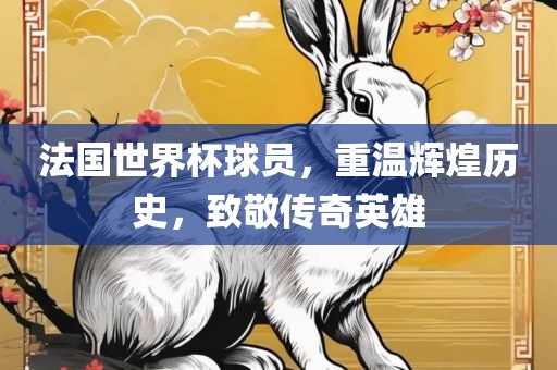 法国世界杯球员，重温辉煌历史，致敬传奇英雄
