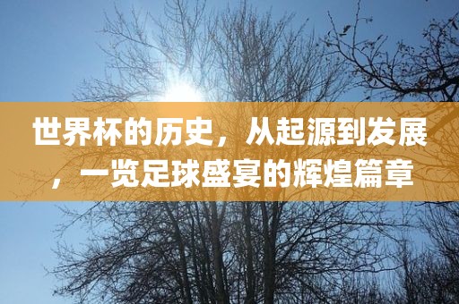 世界杯的历史，从起源到发展，一览足球盛宴的辉煌篇章漯河市盈旭机械设备有限公司