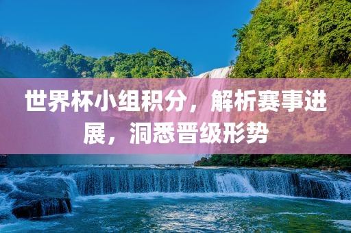 世界杯小组积分，解析赛事进展，洞悉晋级形势