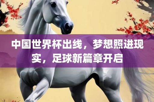 中国世界杯出线，梦想照进现实，足球新篇章开启漯河市盈旭机械设备有限公司