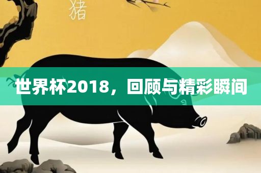 世界杯2018，回顾与精彩瞬间漯河市盈旭机械设备有限公司