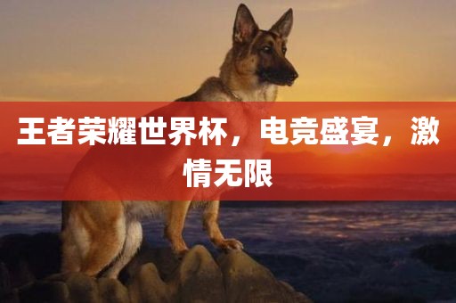 王者荣耀世界杯，电竞盛宴，激情无限