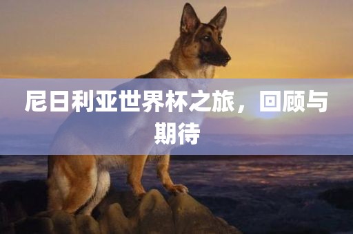 尼日利亚世界杯之旅，回顾与期漯河市盈旭机械设备有限公司待