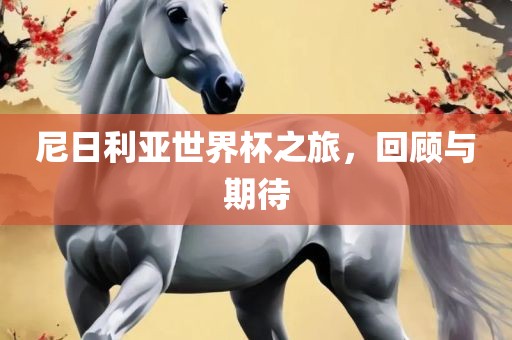 尼日利亚世界杯之旅，回顾与期待