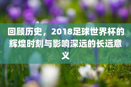 回顾历史，2018足球世界杯的辉煌时刻与影响深远的长远意义漯河市盈旭机械设备有限公司