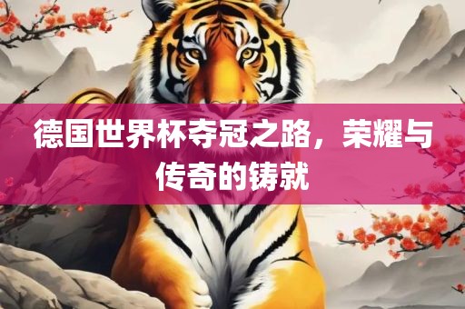 德国世界杯夺冠之路，荣耀与传奇的铸就