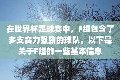 在世界杯足球赛中，F(xiàn)组包含了多支实力强劲的球队。以下是关于F组的一些基本信息漯河市盈旭机械设备有限公司