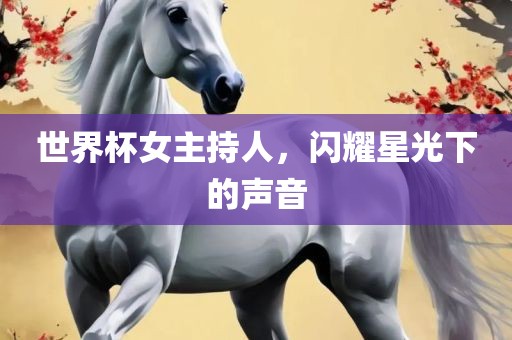 世界杯女主持人，闪耀星光下的声音