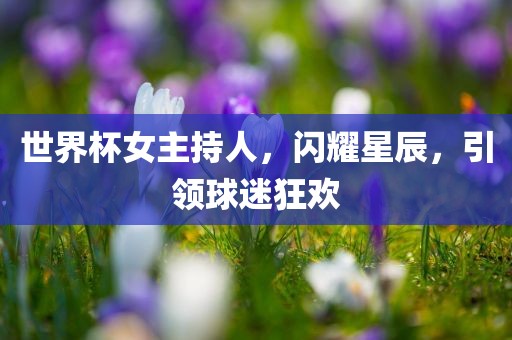 世界杯女主持人，闪耀星辰，引领球迷狂欢